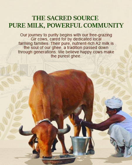 Desi Ghee, By Desi Process