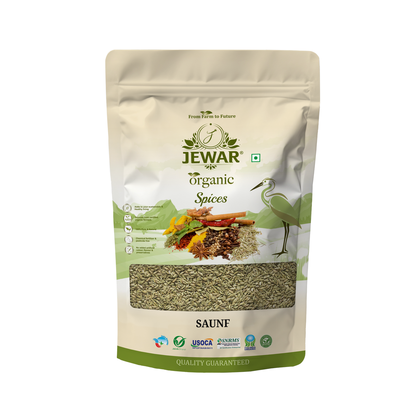 Saunf (Fennel Seeds)